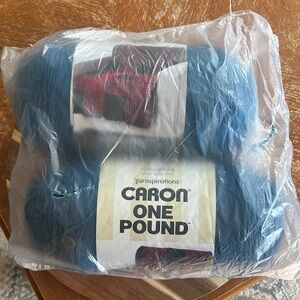 Caron One Pound Yarn in Ocean
